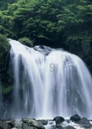 黄球大冒险无敌版